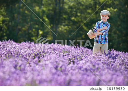 Cute little boy with basket in lavender field 10139980