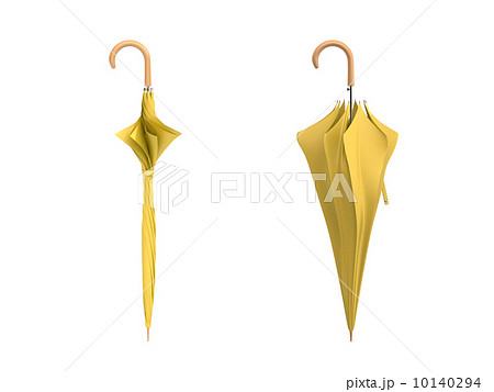 閉じた傘 10140294