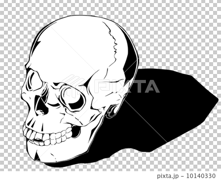 Comic human skull Comic human skull 10140330