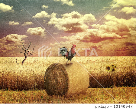 Grunge Country Landscape Grunge Country Landscape 10140947
