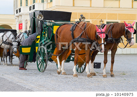 Horses for hire in Vienna 10140975