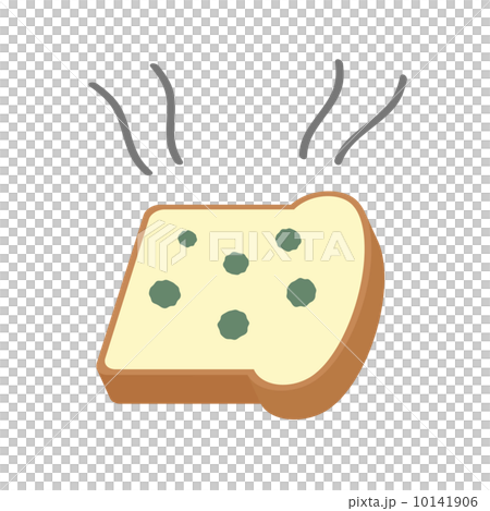 カビの生えたパン 10141906
