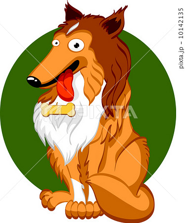 Shetland sheepdog Shetland sheepdog 10142135