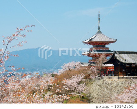 清水寺 三重塔と桜 清水寺 三重塔と桜 10142550