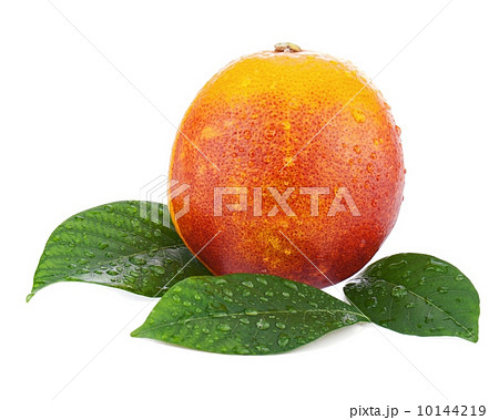 Ripe red blood oranges with green leaves isolated on white backg 10144219