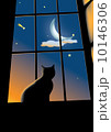 cat on the window 10146306