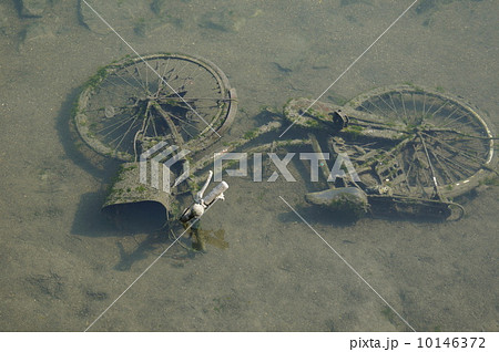 川に捨てられた自転車の写真素材