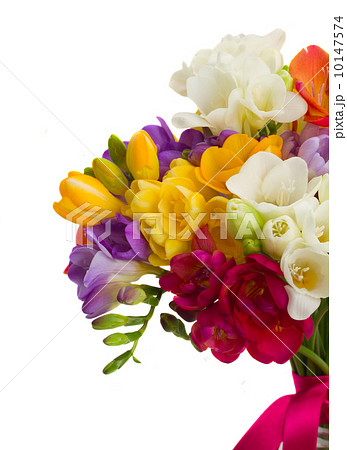 bouquet of freesias flowers close up 10147574