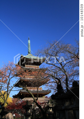 上野寛永寺の五重塔 上野寛永寺の五重塔 10148509