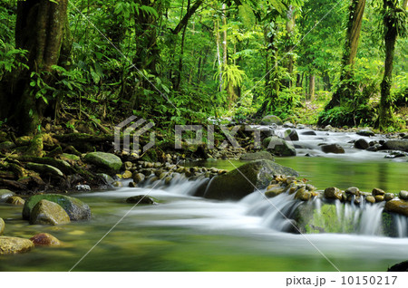 Mountain stream Mountain stream 10150217