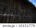 山腹の廃屋 10151770