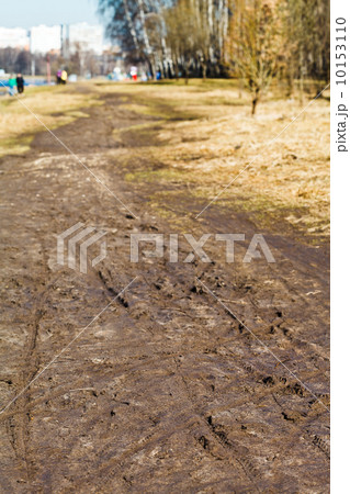 dirt walk way in urban park in spring 10153110