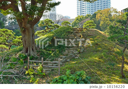旧芝離宮恩賜庭園・大山 旧芝離宮恩賜庭園・大山 10156220