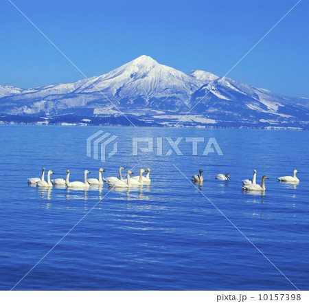 猪苗代湖と磐梯山 10157398