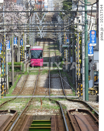 都電荒川線ストレート 10157544