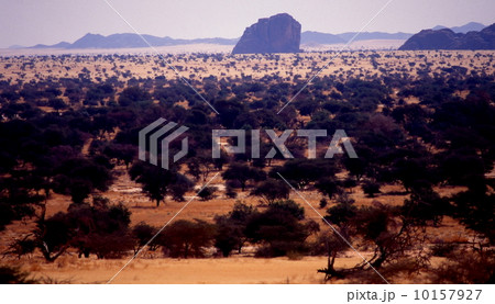 岩山と樹木のある砂漠 10157927