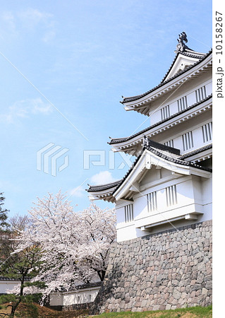 桜咲く忍城 10158267