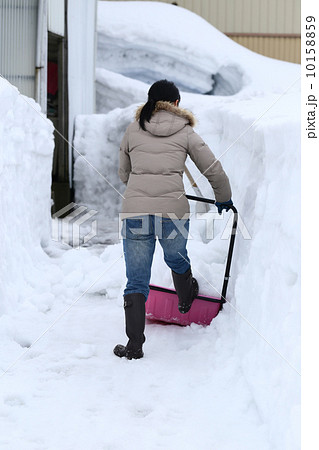 雪国の女性 10158859