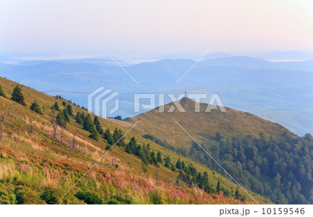 summer misty mountain landscape 10159546