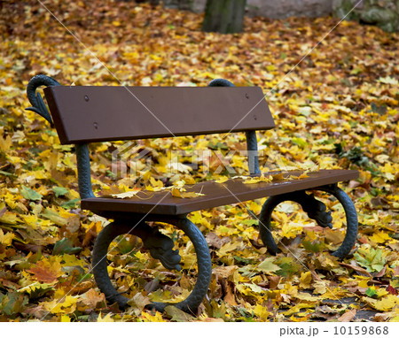 One bench with autumn dry leaves One bench with autumn dry leaves 10159868