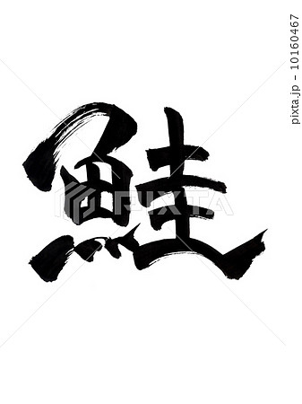 鮭 鮭 10160467