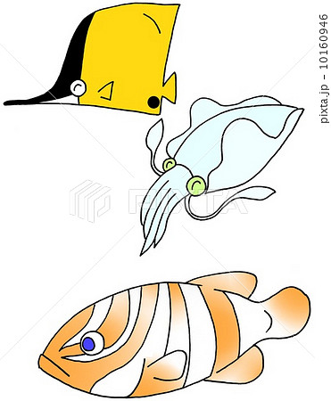 魚絵（イカ） 10160946