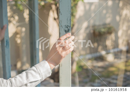 窓の開閉 10161958