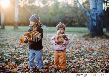 brother and sister in the autumn park 10162437
