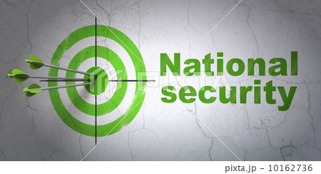Privacy concept: target and National Security on wall background Privacy concept: target and National Security on wall background 10162736