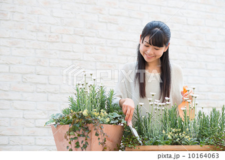 ガーデニングする女性 10164063