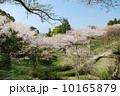 風景 10165879