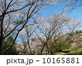 風景 10165881