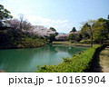 風景 10165904