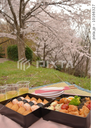 お花見弁当 お花見弁当 10166327