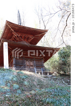 金鑚神社多宝塔 10166473