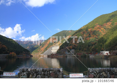 秋の名栗湖 10166546