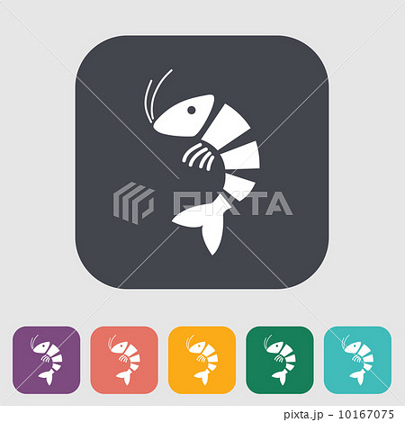 Shrimp 10167075