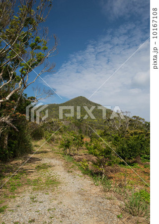 伊部岳 伊部岳 10167108