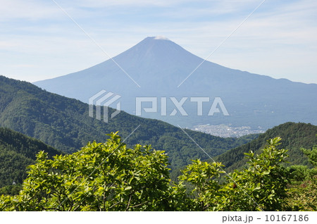 本社ヶ丸より富士山 本社ヶ丸より富士山 10167186
