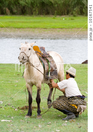 saddling 10167541
