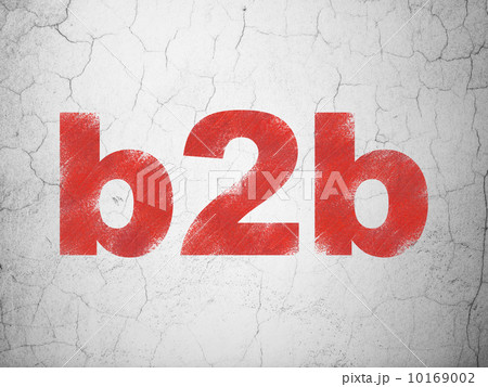 Business concept: B2b on wall background 10169002