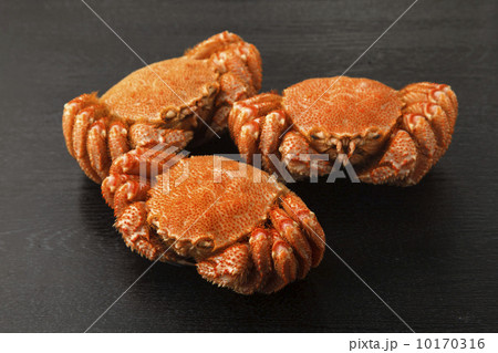 毛蟹 毛蟹 10170316