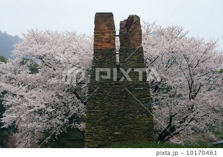 雨上がりの桜･反射炉 10170461