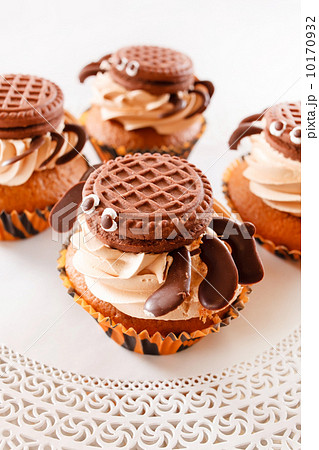 chocolate muffins chocolate muffins 10170932