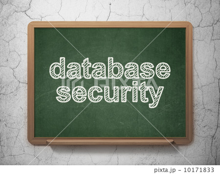 Safety concept: Database Security on chalkboard background 10171833
