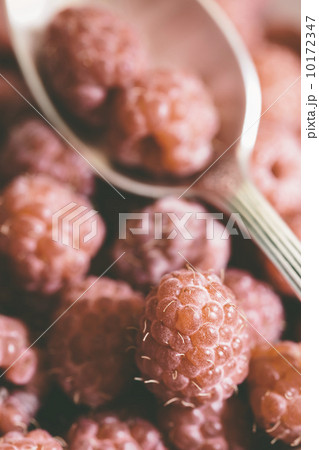 raspberry 10172347