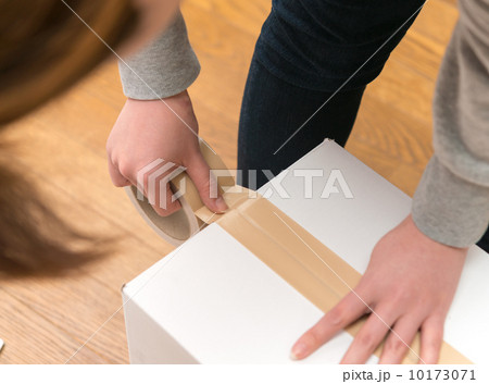 段ボール箱 10173071