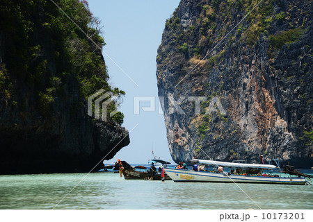 マヤベイ 10173201