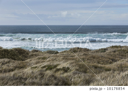 Pacific Ocean grass sand dunes surf Pacific Ocean grass sand dunes surf 10176854