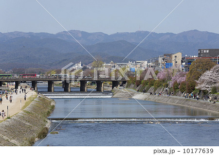 三条大橋と鴨川 10177639
